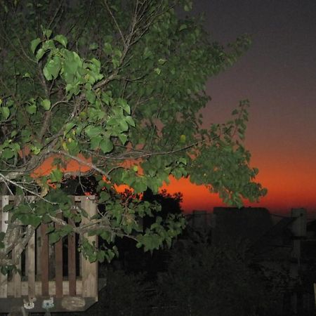 The House By The Mulberry Tree Neve Ilan Exterior foto