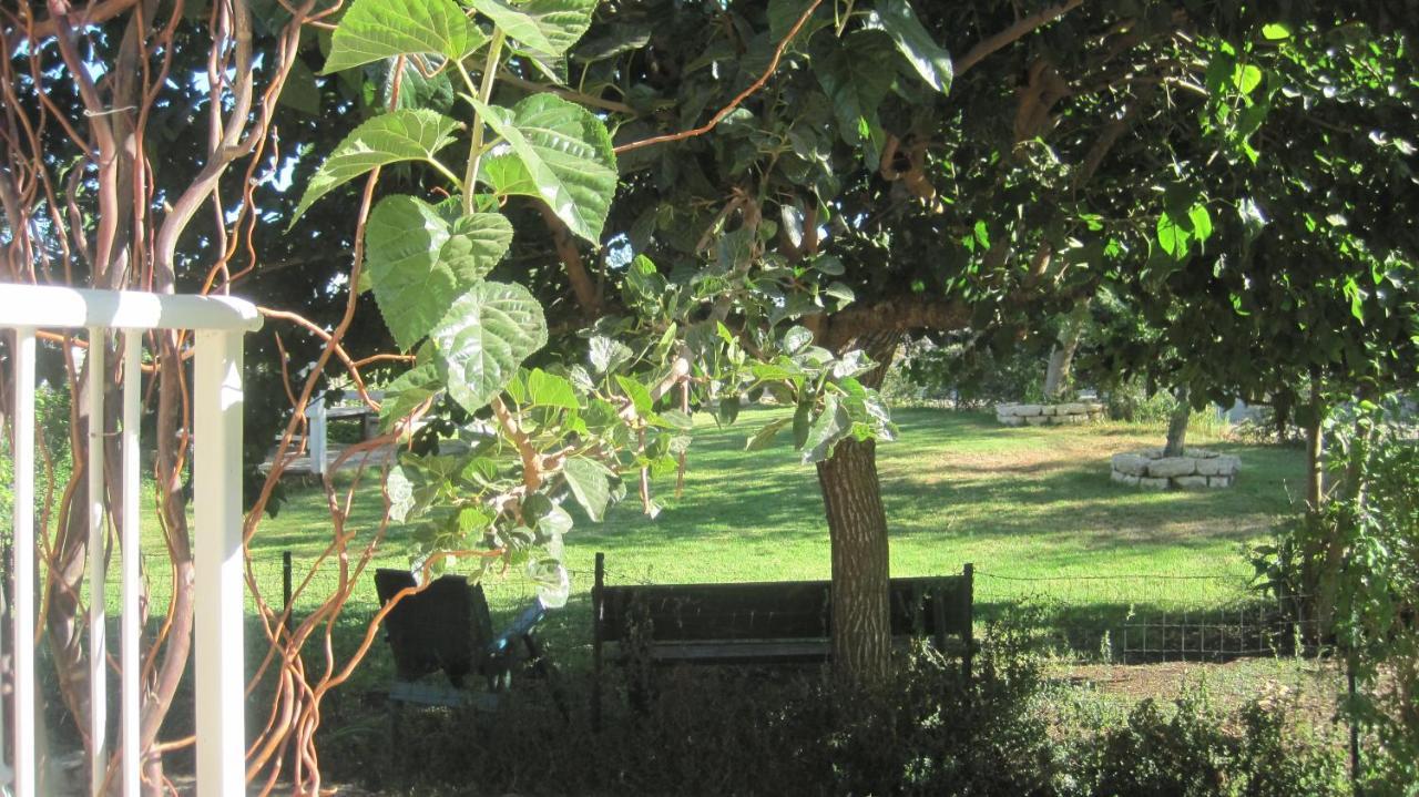 The House By The Mulberry Tree Neve Ilan Exterior foto