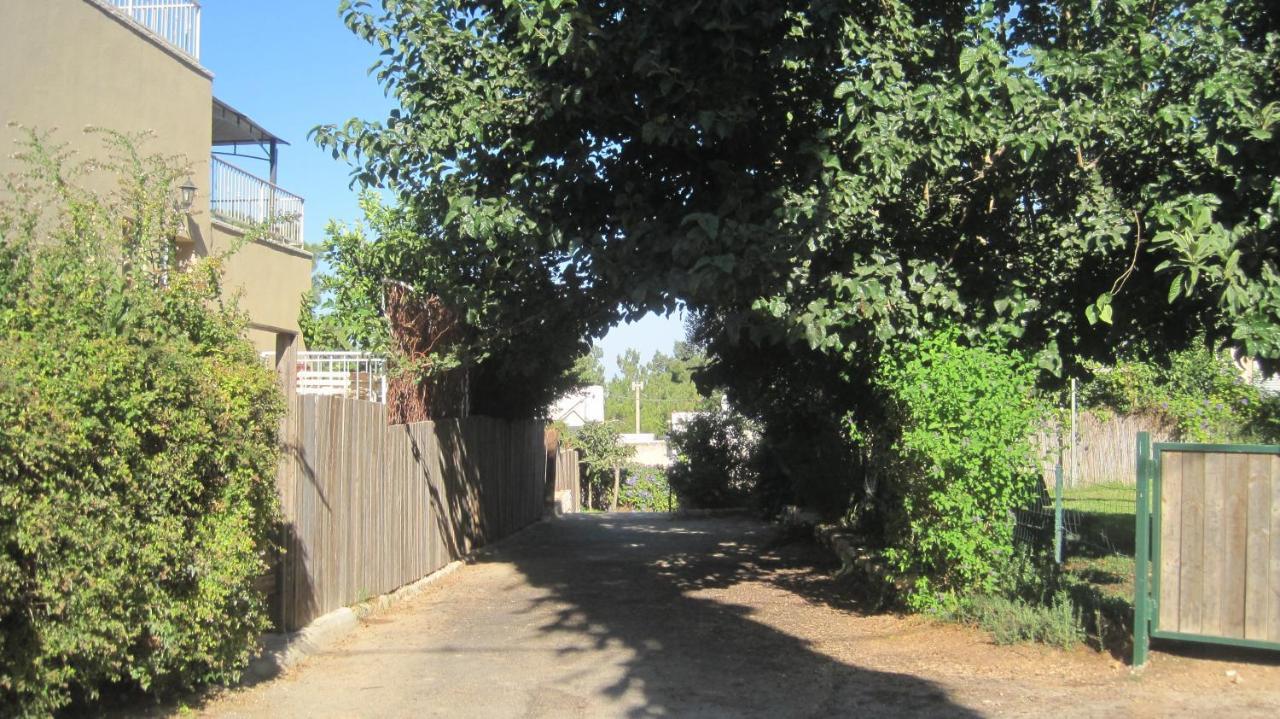 The House By The Mulberry Tree Neve Ilan Exterior foto